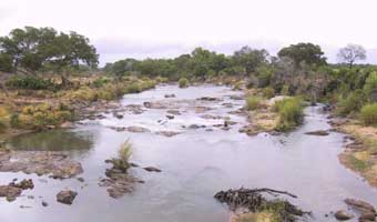Sabie River