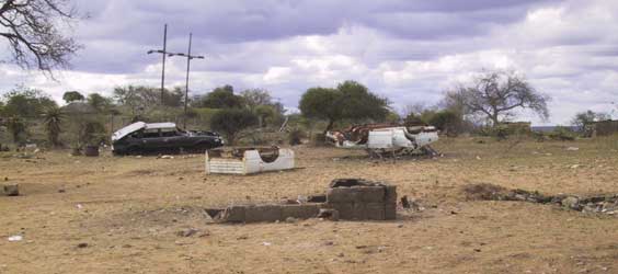 Waiting Lobba to the Mkhaya Game Reserve